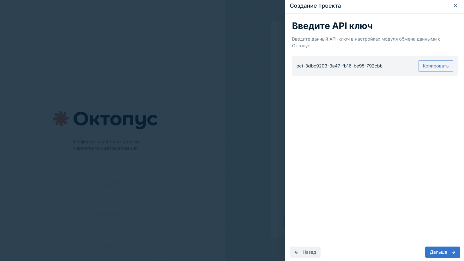 Экран Октопус «Введите API ключ»