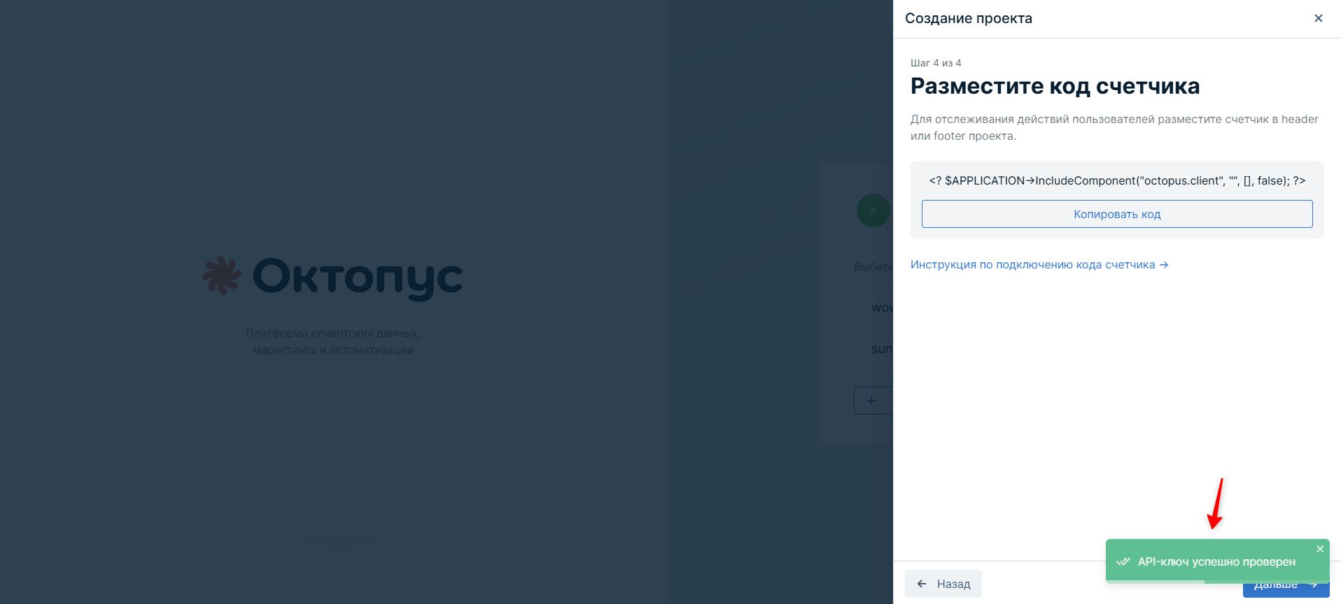 API ключ успешно проверен