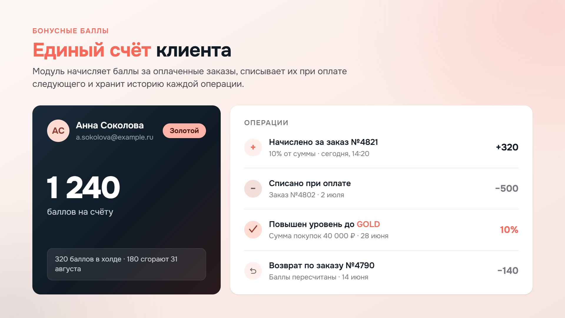 Фото 2: &laquo;Программа лояльности |  уровни, баллы, холдирование, единый счет для онлайн и оффлайн | Октопус CDP&raquo;